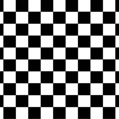 Black and white Checkered Backdrop printed on thin plastic material.